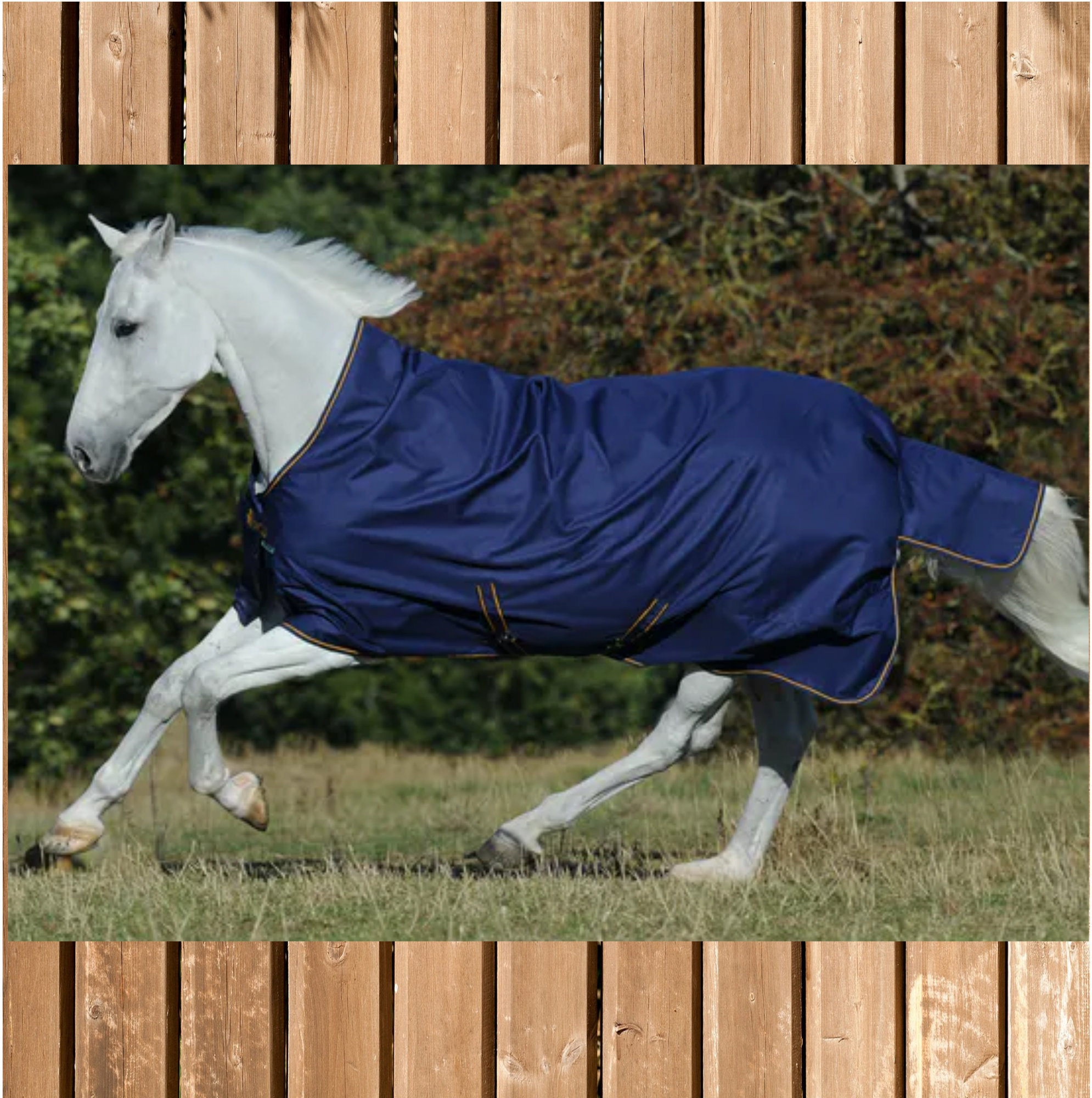 Bucas Irish Turnout light 50g High Neck, navy-gold